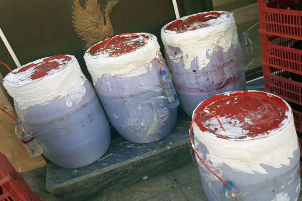 آخرین آمار جانباختگان مسمومیت با الکل