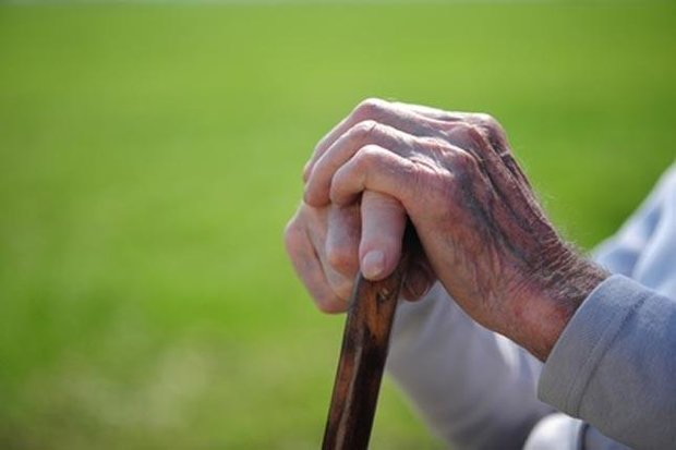 سهم سالمندی در طرح تحول سلامت/افزایش سالمندان ۱۰۰ ساله
