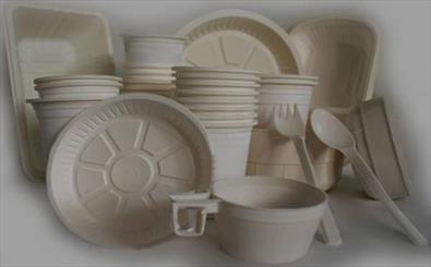 عرضه غذای گرم در ظروف یکبار مصرف پلاستیکی در دزفول ممنوع می شود